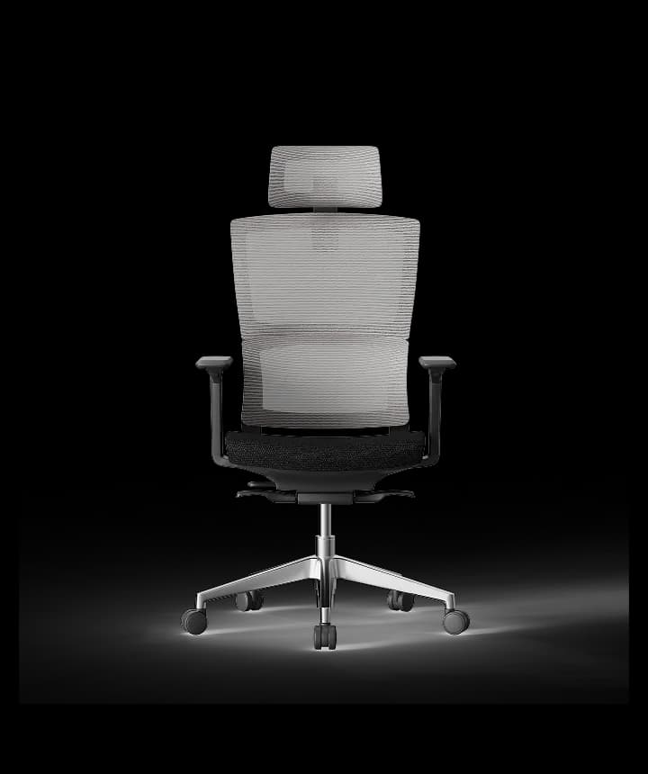 Ergonomische bureaustoel BS2