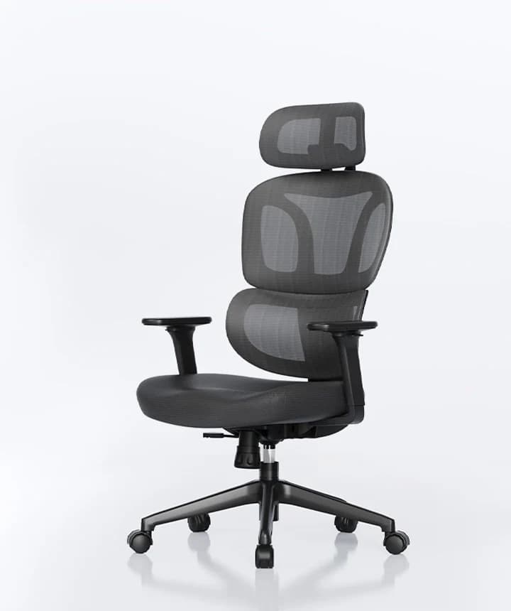Ergonomische bureaustoel BS5, dubbele rugleuning, optie voetensteun