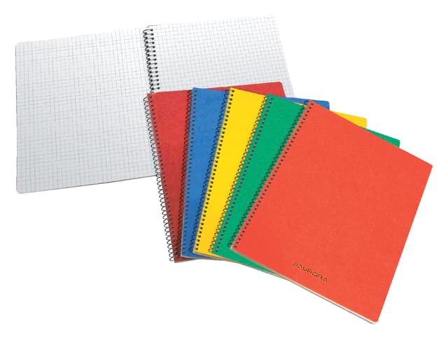 Schrift Aurora 80x135mm ruit 5x5mm 200 pagina's 60gr assorti